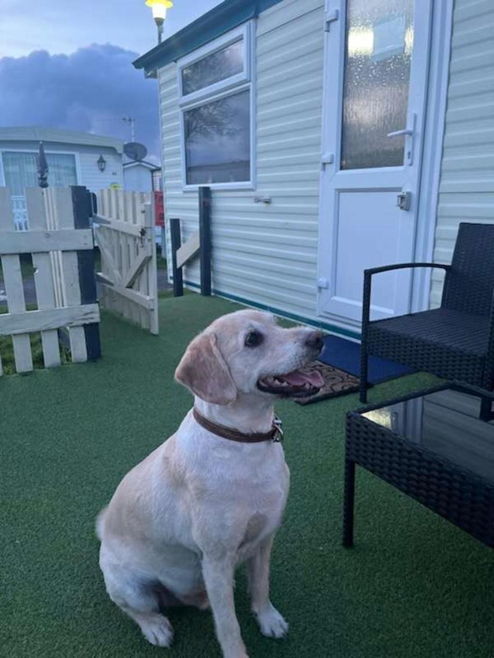 Hotel Sunnyside - Pet Friendly, Ingoldmells Esterno foto